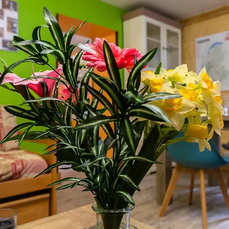 La Marmotte Holiday home Entremont